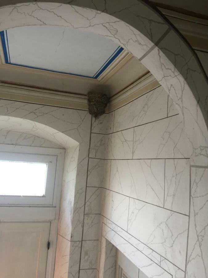 Villa Eugenia Livorno Zewnętrze zdjęcie