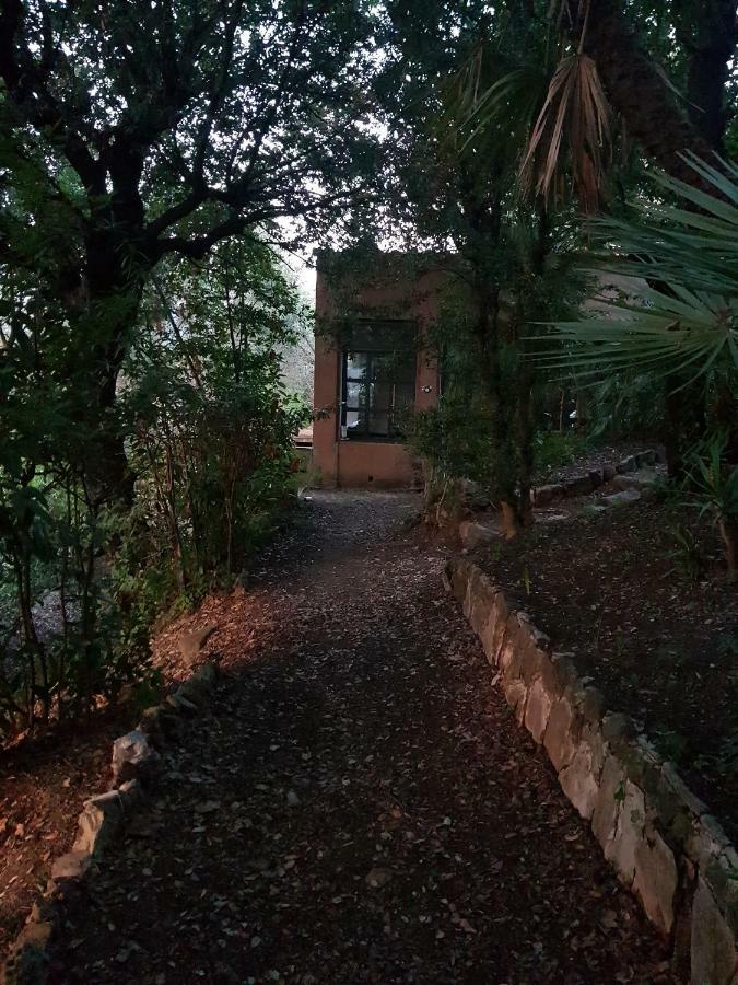 Villa Eugenia Livorno Zewnętrze zdjęcie
